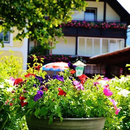 Affittacamere Bruckenwirt Aigen im Ennstal